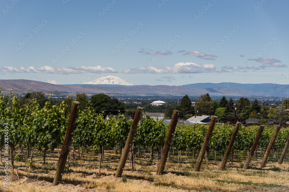 Yakima View from Vineyard