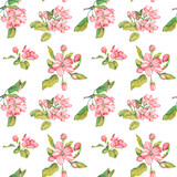 seamless pattern of watercolor drawings of flowering apple branches