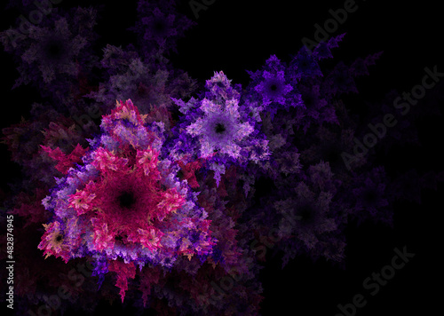 purple fractal flowers