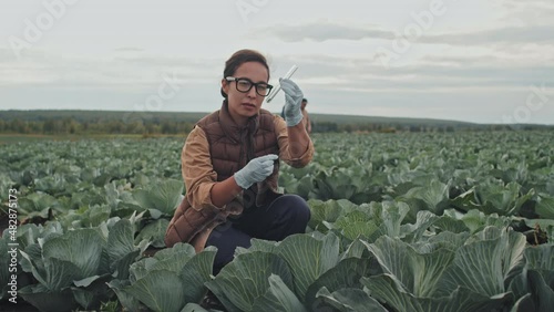 Professional farm worker spending workday outdoors on field taking sample of soil to check pH