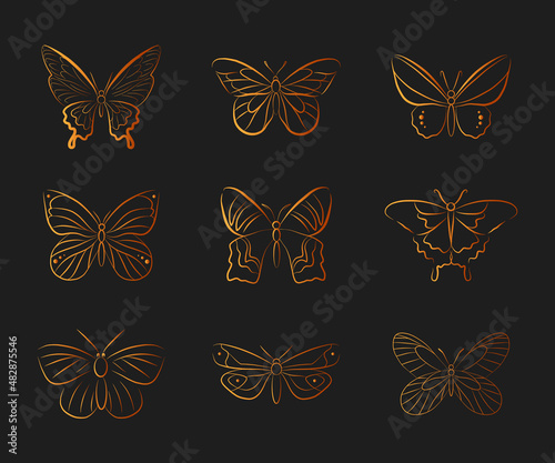 Butterfly gold textured silhouette collection vector icon doodle hand drawn outline isolated sketch insect shape beautiful emblem design element