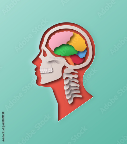 Colorful paper cut man head illustration on isolated background. Human brain x-ray side view profile with 3D papercut layer for educational anatomy model, science or nervous system concept. 