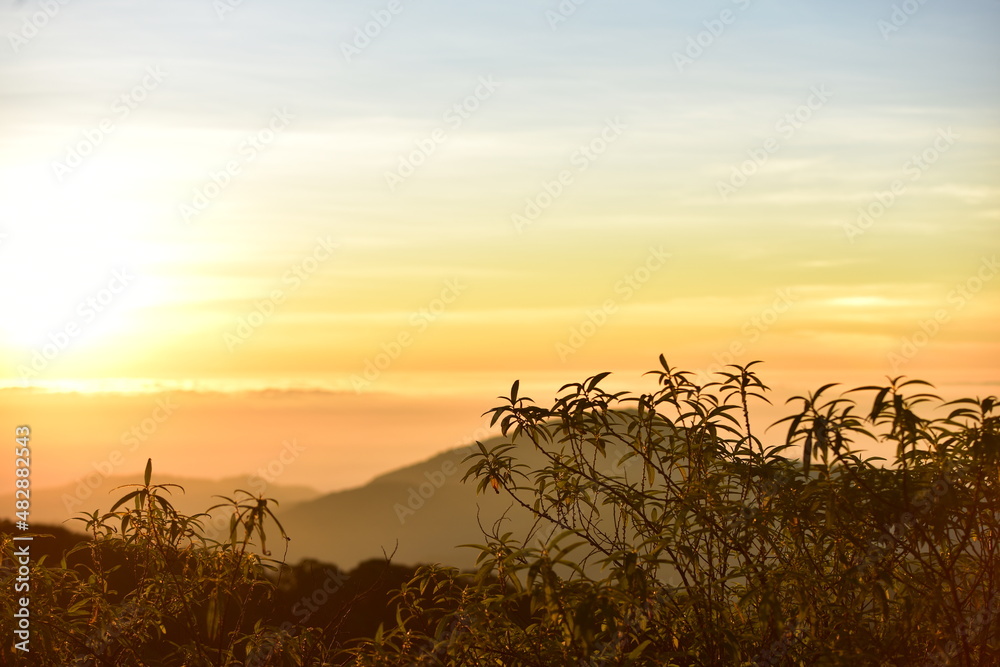 sunrise behind a dense forest area followed by mountains