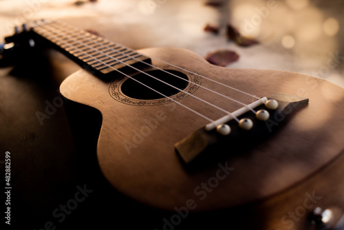 Canvas Print Ukulele
