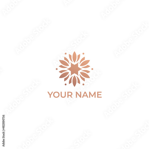 Abstract premium leaf luxury logo design