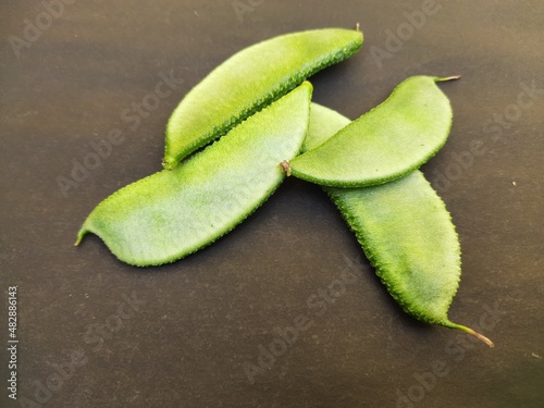 Lablab purpureus is a species of bean in the family Fabaceae. Its other names include lablab-bean bonavist bean pea, dolichos bean, seim, lablab, Egyptian kidney bean, Indian bean. Black background. 
 photo