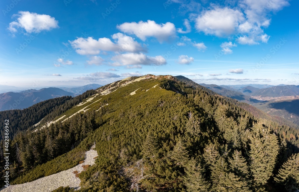 Coniferous forests on high mountain slopes under blue sky