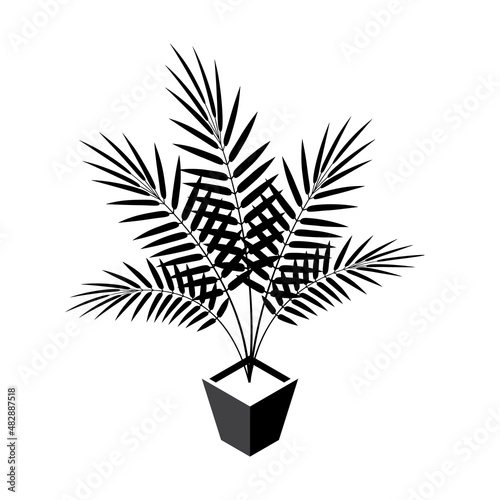Areca palm isometric icons in flat style, vector