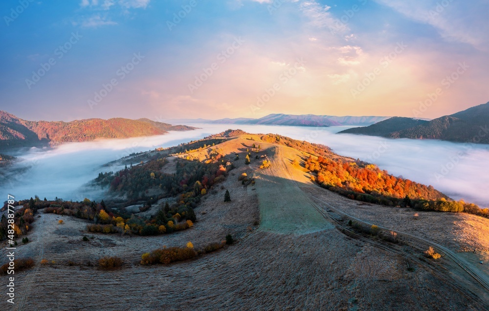 Highland with colorful forests covered with fog at sunrise