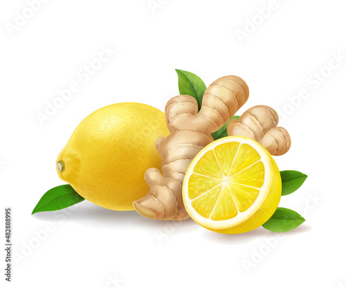 Lemon and ginger root isolated realistic illustration. Warming drink, gigner ale, tea anti - influenza, vector