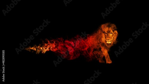 african lion walking in a black background and colorful smoke animation photo