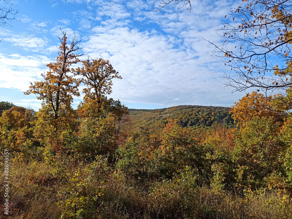 Obraz premium autumn mountains