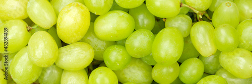 Fototapeta Green grapes grape fruits fruit background from above panorama