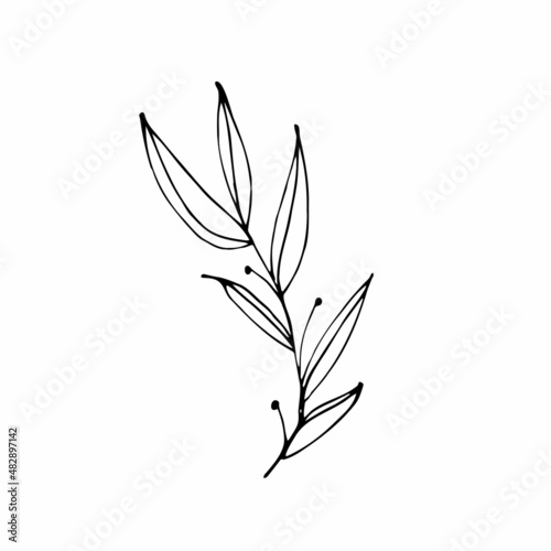 Vector set of doodle hand-drawn flowers. Collection of modern line illustrations.