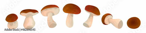 Vector set with a wild White isolated tubular Mushrooms and red, brown hat in different positions white background. Concept of food. You can use elements in web design, banners, etc. Horizontal format