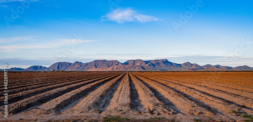 A field in an industrial farming operation in Arizona with rows of bare earth in vanishing point perspective towards a desert mountain range