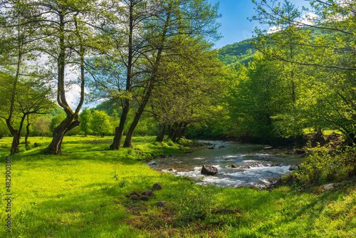 Obraz na płótnie source of Turiya river in spring. beautiful nature landscape in the valley. countryside scenery with trees along the stream in morning light w salonie