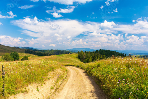 path through grassy fields. rural landscape with rolling hills and pastures in summer. trees and forest on the slopes. white clouds on the blue sky. idyllic countryside scenery of carpathian mountains