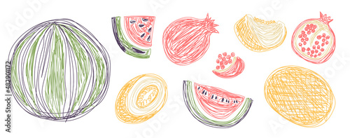 Watermelon, garnet and melon. Fruit bundle. Hand drawn vector illustration. Pen or marker doodle sketch. Line art silhouettes. Contour drawing.