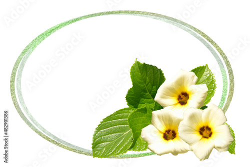 flower illustration arrangement with leaves and bows on white background