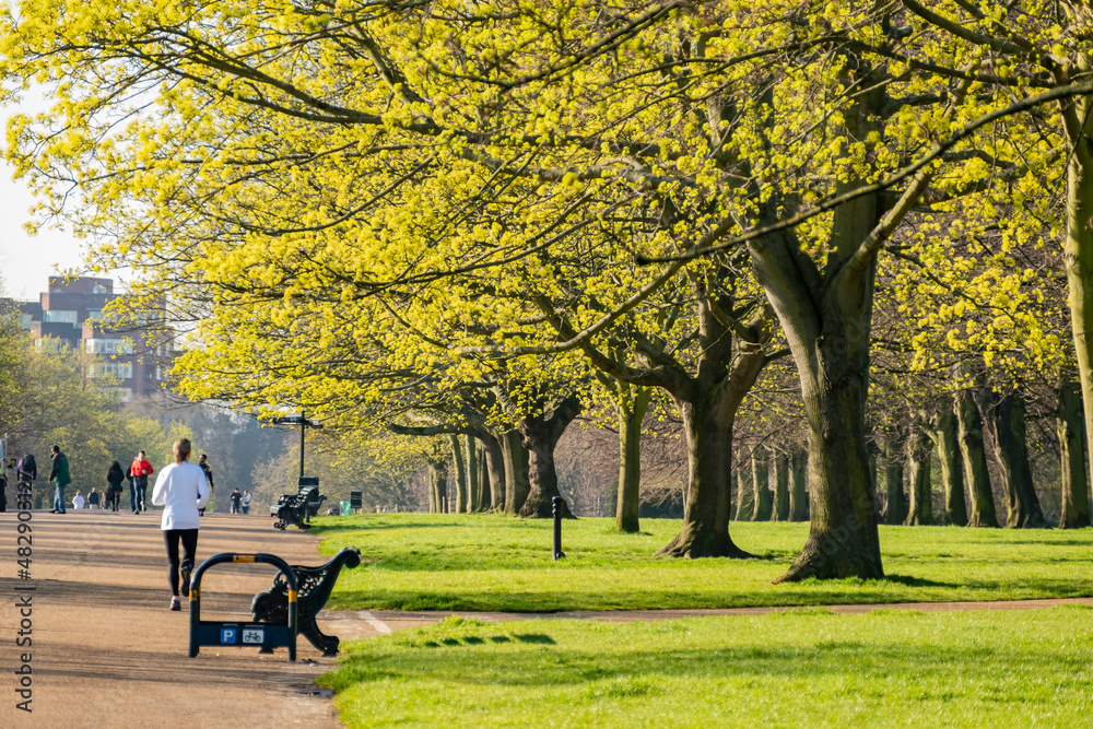 Beautiful landscape around Hyde Park