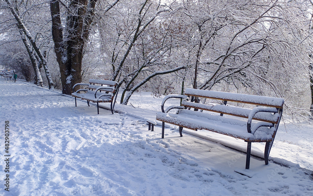 Benches in the park covered with snow. Winter park after snowfall.