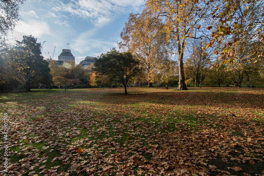 Naklejka premium View of the beautiful parks in London