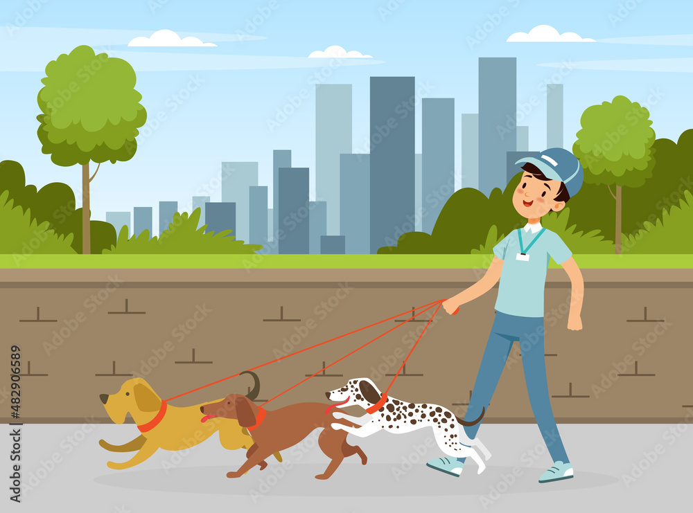 Man Volunteer Walking Dogs on Leash in the Park Vector Illustration