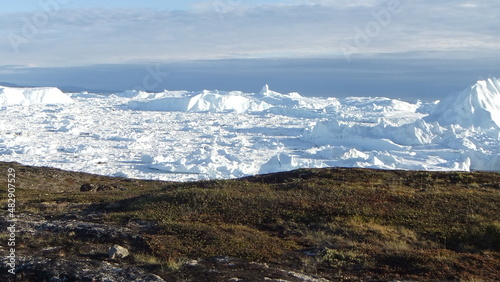 wybrzeże grenlandii pokryte delikatną trawą oraz morze pokryte krą i górami lodowymi w słoneczny dzień