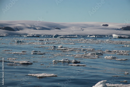 topniejące kry lodowe i growlery dryfujące przy ośnieżonym wybrzeżu grenlandii