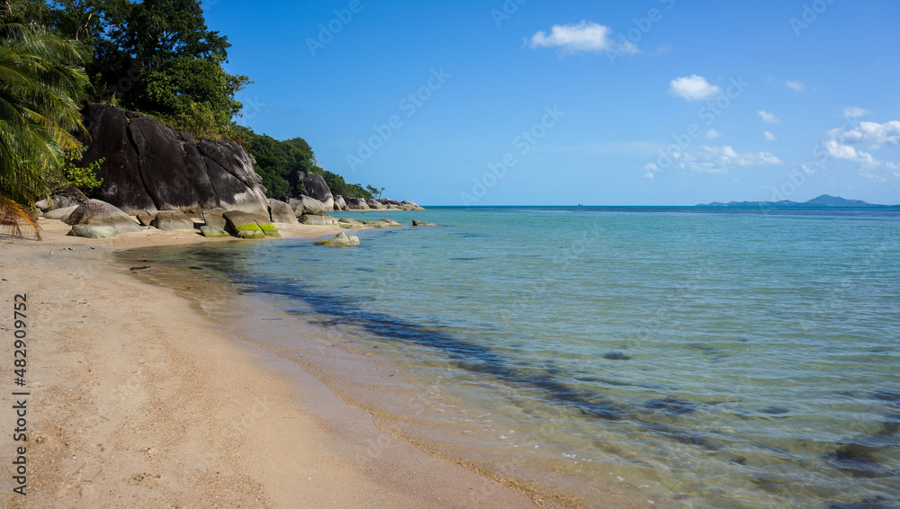 Wild beach with trees and rocks