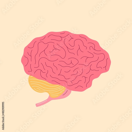 Photos Human brain trendy cartoon style