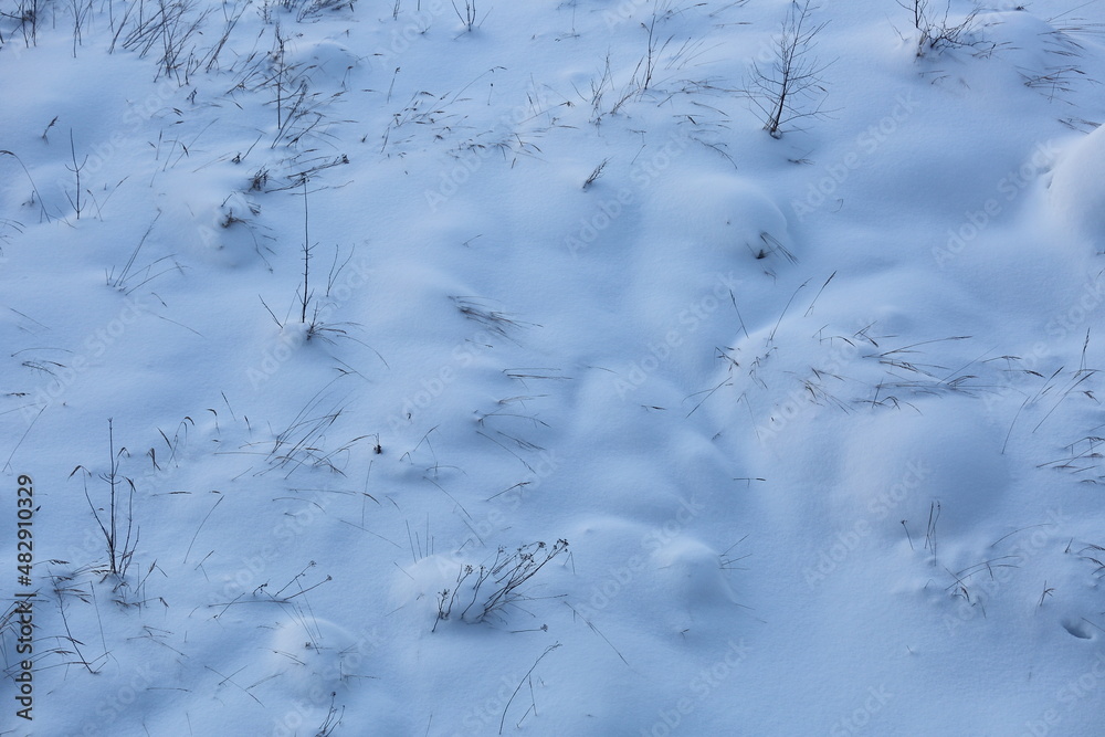Plants sticking out from under the snow, bushes top view in snowdrifts 2 Plants sticking out from under the snow, bushes top view in snowdrifts 2