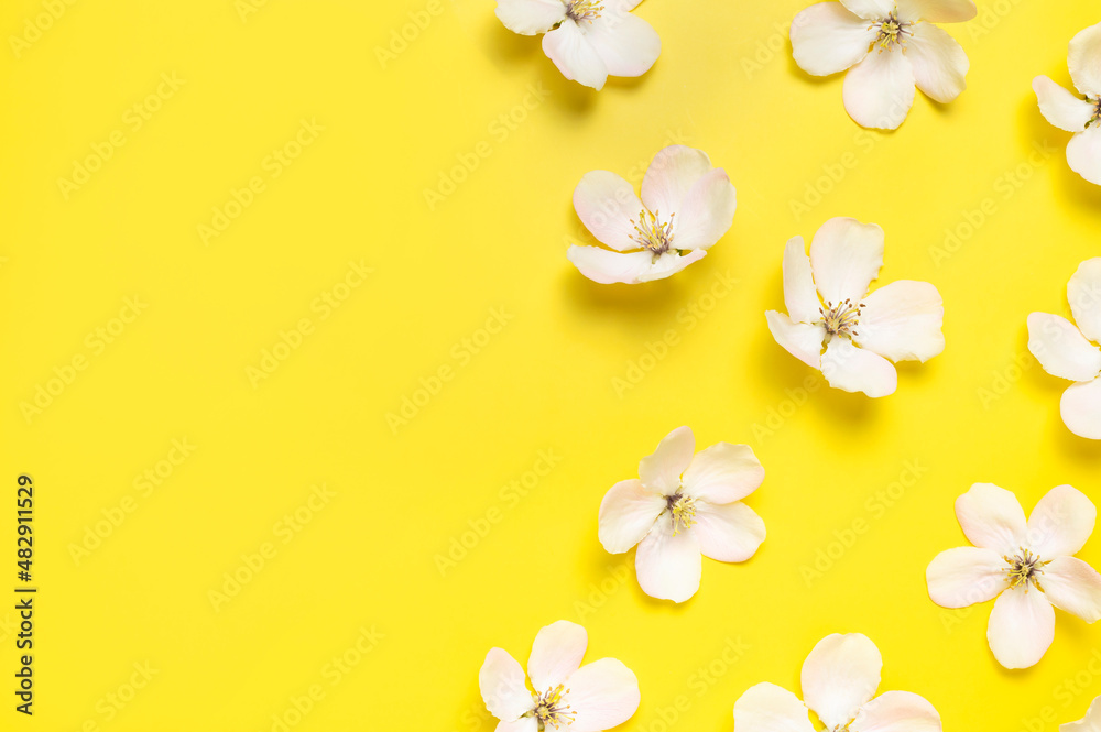 Naklejka premium Spring background. Beautiful delicate fresh spring flowers and buds of apple tree on yellow background flat lay top view. Springtime nature concept. Bloom, inflorescence, flowering. Flower pattern