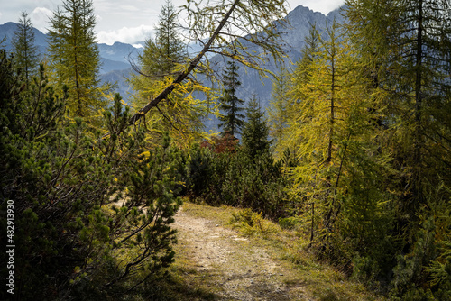 Forest path, hiking autumn rock mountains in Julijske Alpe Alpi Giulie, Julian Alps, Slovenia Slovenija