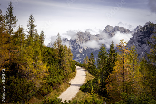 Foto Forest path, hiking autumn rock mountains in Julijske Alpe Alpi Giulie, Julian A