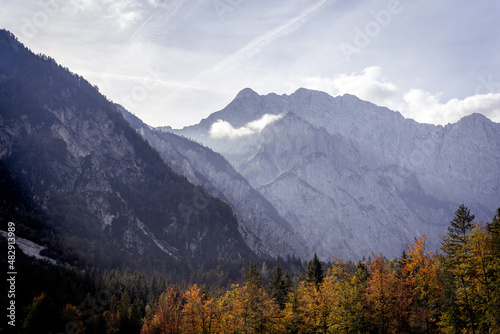 Rock mountain and orange autumn fall forest in Julijske Alpe Alpi Giulie, Julian Alps, Slovenia Slovenija © Johana