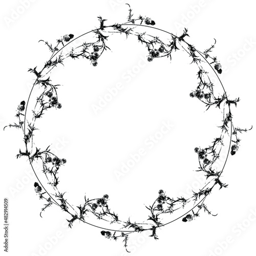 Round floral frame. Wreath of blooming thistle plant branches. Black silhouette on white background.