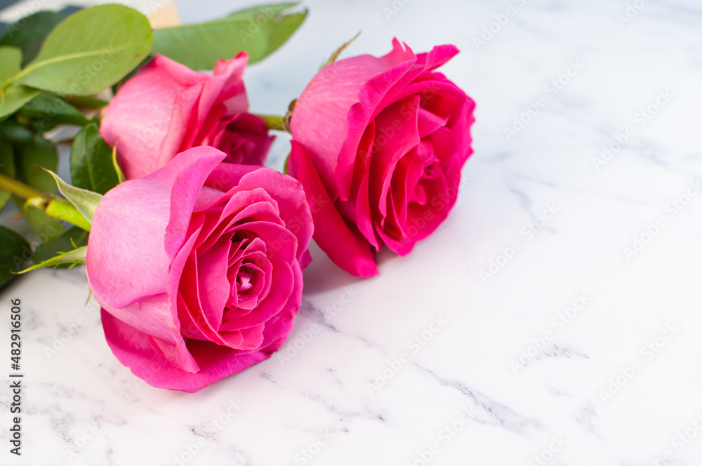 Roses on a marble background. Simple composition with flowers. Pink flowers. Rose buds. Place for text.