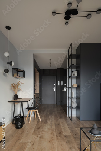 Fotografia Stylish studio apartment interior