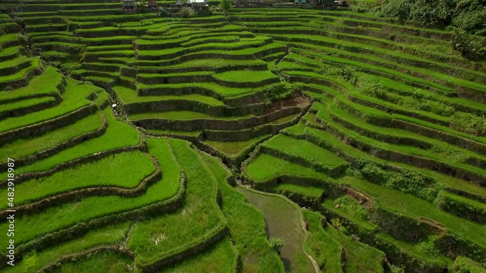 Aerial tilt up shot showing the ancient Batad Rice Terraces in northern Luzon, Philippines.