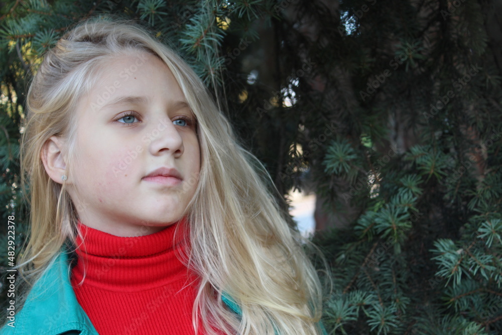 portrait of a girl portrait of a girl