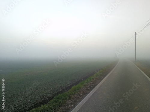 View along a road with fog