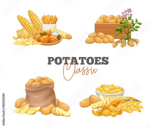Potato products banners. Chips, pancakes, french fries, whole and cut root potatoes in cartoon style. Vector illustration of harvest vegetables.