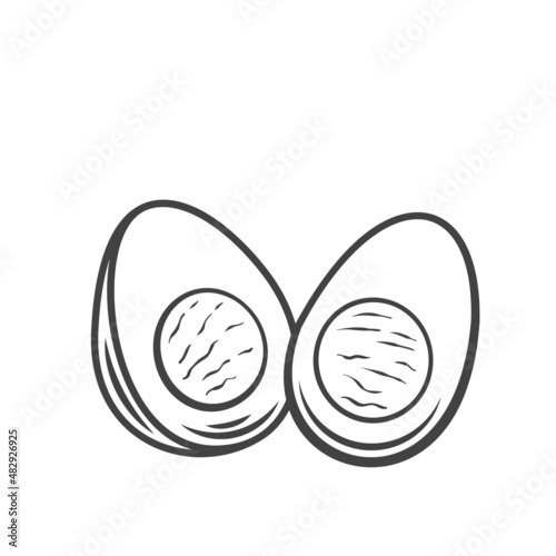 Boiled, half, sliced chicken eggs outline drawn vector illustration.