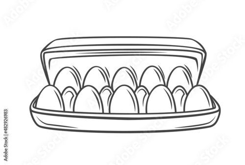 Egg box with ten chicken eggs, carton pack or container outline drawn vector illustration.