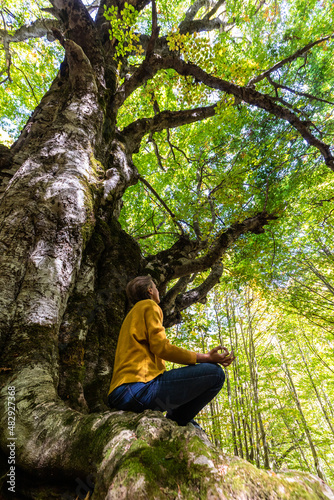 Yoga meditation in a beech wood. A young woman seated between the roots of an old beech tree is relaxing with a yoga meditation. Nature concept.