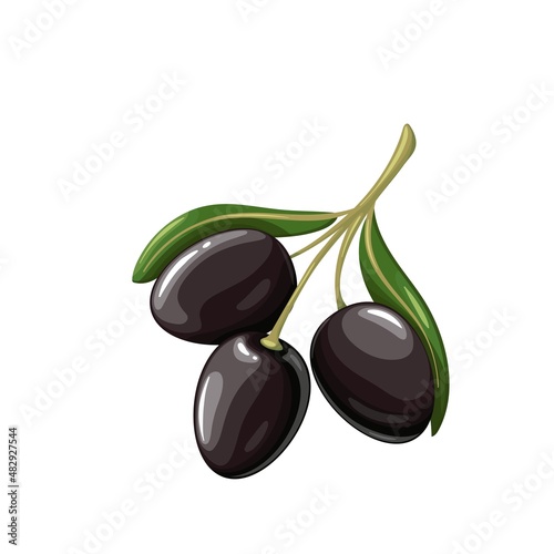 Black olives with leaves. Olive branch with three olives