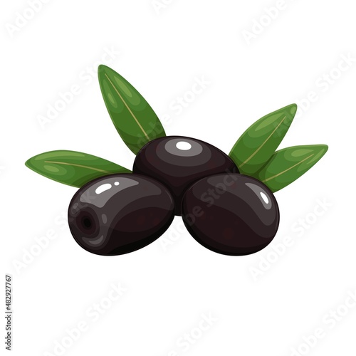 Black olives with leaves. Vector illustration of heap olives.