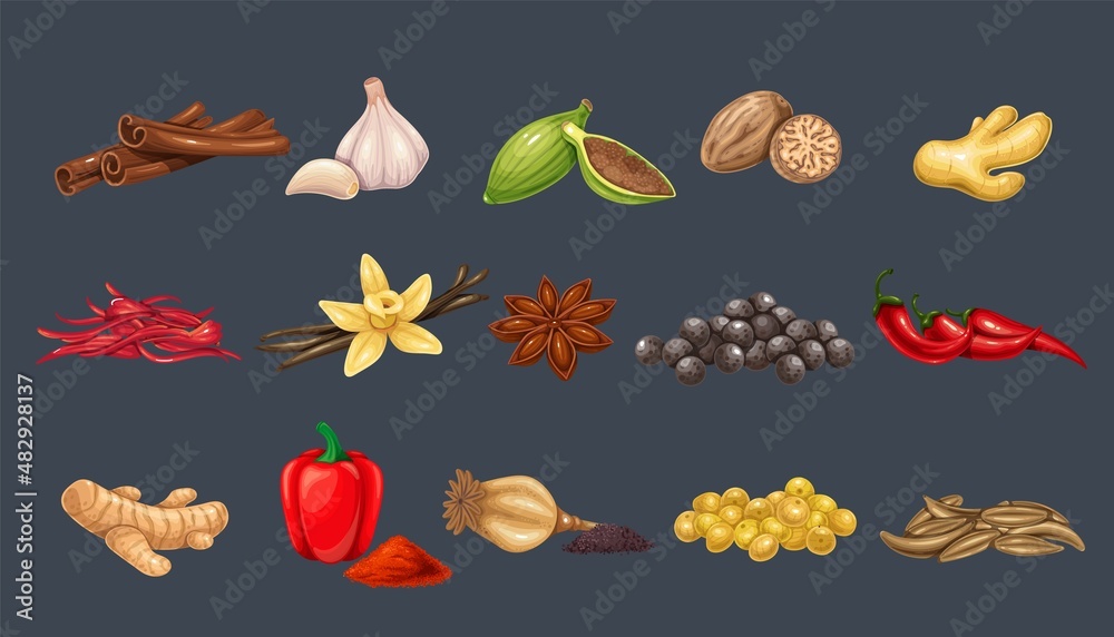 Naklejka premium Culinary spices and condiments. Peppercorns, bay leaf, cardamom, chili, cumin, garlic, ginger and mustard. Oregano, thyme, turmeric, saffron threads, star anice, marjoram, nutmeg, anice and poppy